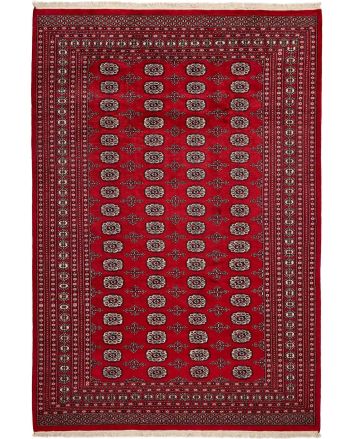 Pakistan Buchara 2 Ply 206x301cm