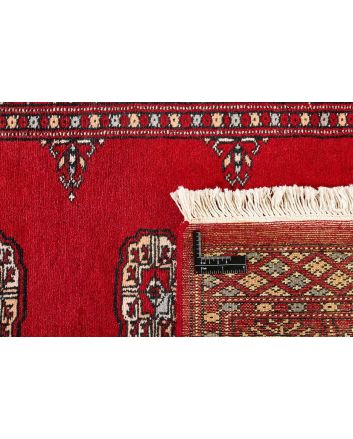Pakistan Buchara 2 Ply 82x314cm