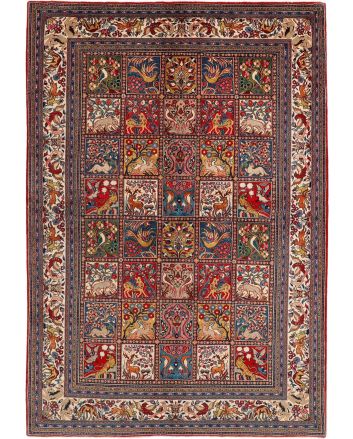 Sarough Sherkat 211x310cm