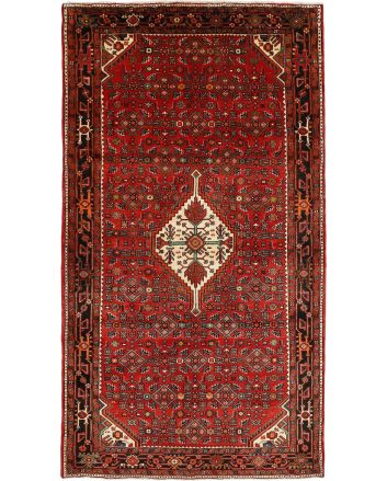 Hosseinabad 153x283cm