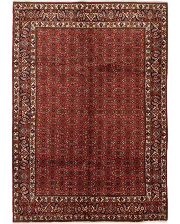 Bidjar Zandjan 205x285cm